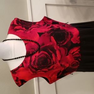 Northstyle Women's Dress